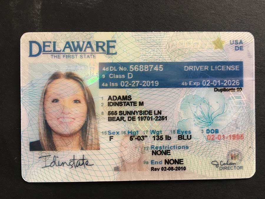 front and back fake id generator