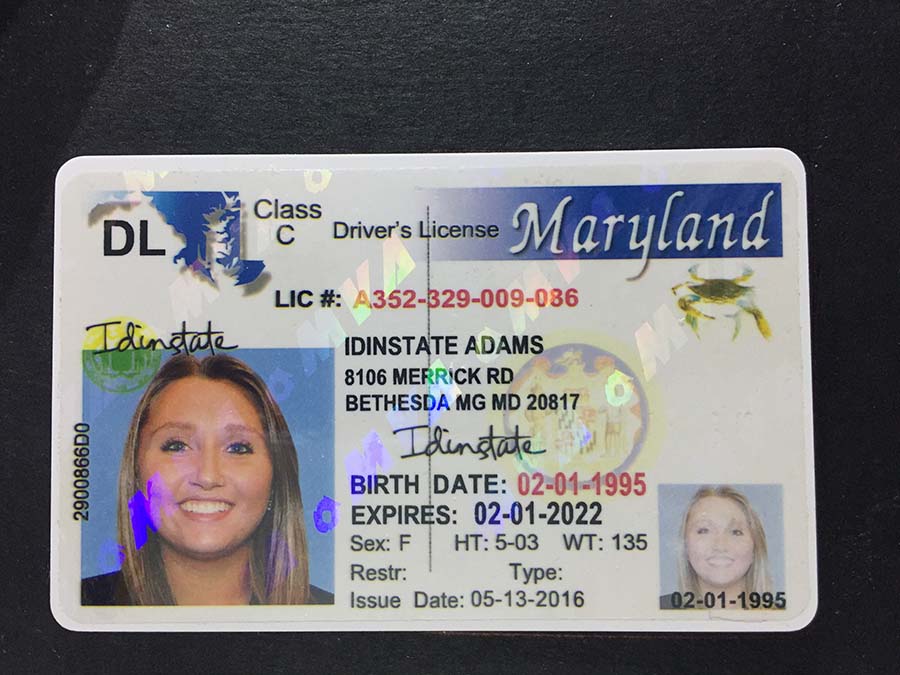make fake driver license free online