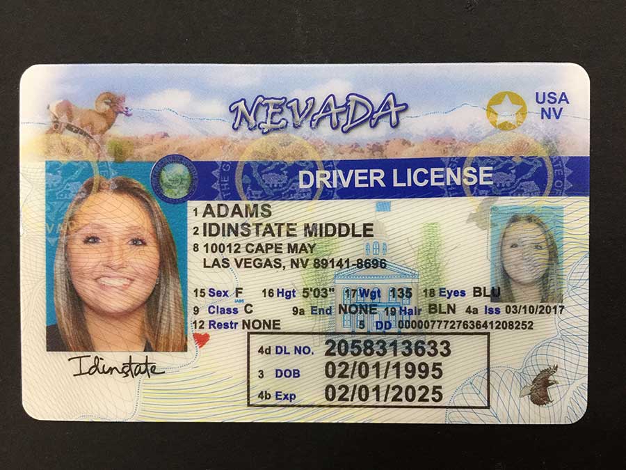 Free Florida Drivers License Template